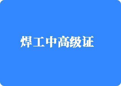 骚货班长被爆c高h焊工中高级证